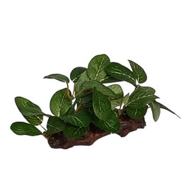 Small Foreground Natural Look Fabric & Plastic Aquarium Plant On Wood, Fish Tank, Vivarium Decoration