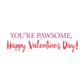 Graphique Doodles! Handmade Valentine’s Day Card, Cute Love Funny Greeting Card, Him Her Kid, 5” x 7”