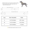 Didog Soft Padded Leather Collar for Medium Dogs Classic Dog