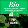 Organic Blackcurrant 1200 mg per Day - Blackcurrant - 200