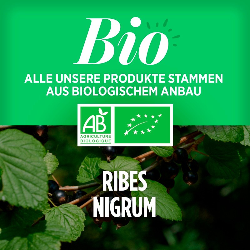 Organic Blackcurrant 1200 mg per Day - Blackcurrant - 200