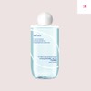 Isntree Ultra-Low Molecule Hyaluronic Acid Toner 300ml 300ml × 1