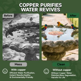 IJEUH 2pcs Bird Bath Copper Disk, 0.8mm Reinforced 99.99% Pure Copper Cleaning Disk with Triple-Point Support for Physical Safe Clean Water All-Season, Universal Fit for Outdoor Birdbaths, Bowl