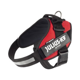 Julius K9 16IDC-R-4 IDC Harness - Size 2 - Chest Circumference from 110 cm - Body Weight: More than 70 kg - Colour: Red - Power Harness Innova Dog Comfort K-9