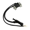 Ignition Coil & Spark Plug for Predator 5500W/6500W, 7000W/8750W, 7250W/9000W