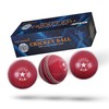 SPIN FIRST ADS Sports Soft Cricket Ball for Training &