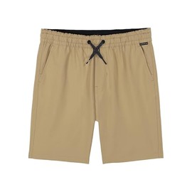 Quiksilver Boys' Pull-On Amphibian Hybrid Shorts, Comfort Stretch Fabric, Water Friendly, Khaki Taxer
