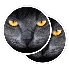Vinyl Round Stickers (Set of 2) 7.5cm - Grey Cat Yellow Eyes for Laptops, Tablets, Luggage, Scrap Booking, Fridges #51098