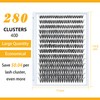 DollDoki B&Qaugen Lash Clusters 40D-D-16 LASH Individual Lashes 280 Clusters