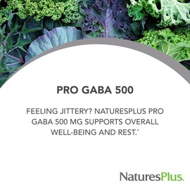NaturesPlus PRO GABA 500 mg - 60 Capsules - Non-GMO, Vegan, Gluten Free - 60 Servings