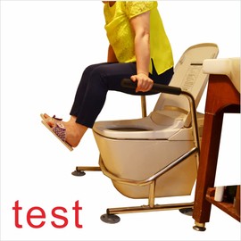 Elderly Assis Toilet Safety Rails Safety Frame Toilet with Easy Installation Bathroom Toilet Seat for Seniors Arthritis Sufferers Injured Surgery Recovery