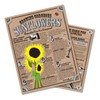 The Jonsteen Company Sunflower | Flower Seed Grow Kit |