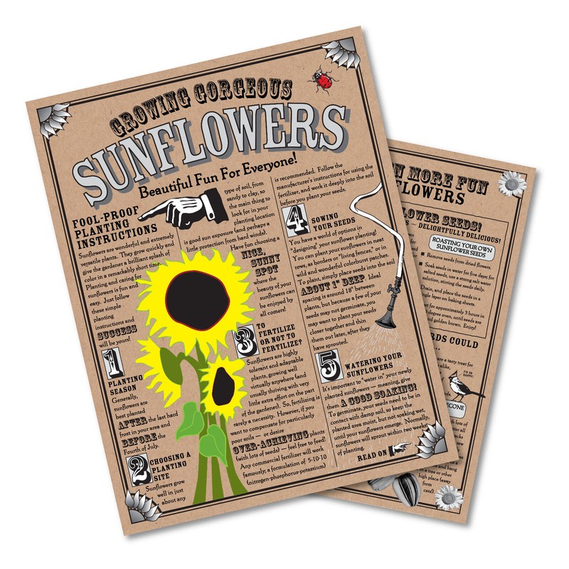The Jonsteen Company Sunflower | Flower Seed Grow Kit |