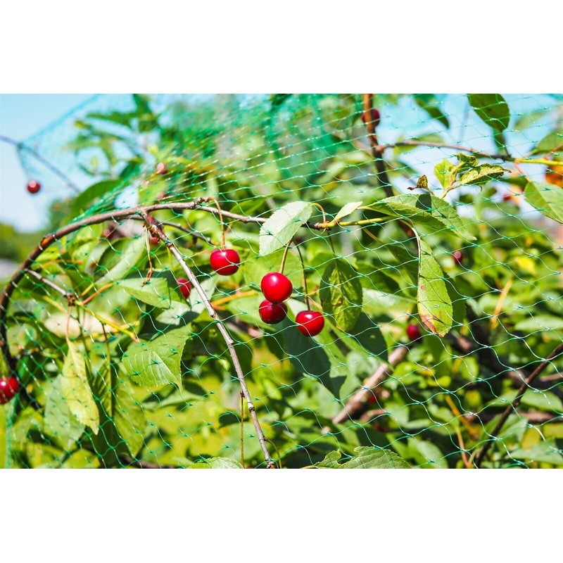 ALAYSTAR Garden Netting - Strong Mesh Protection -Vegetables Soft Fruits