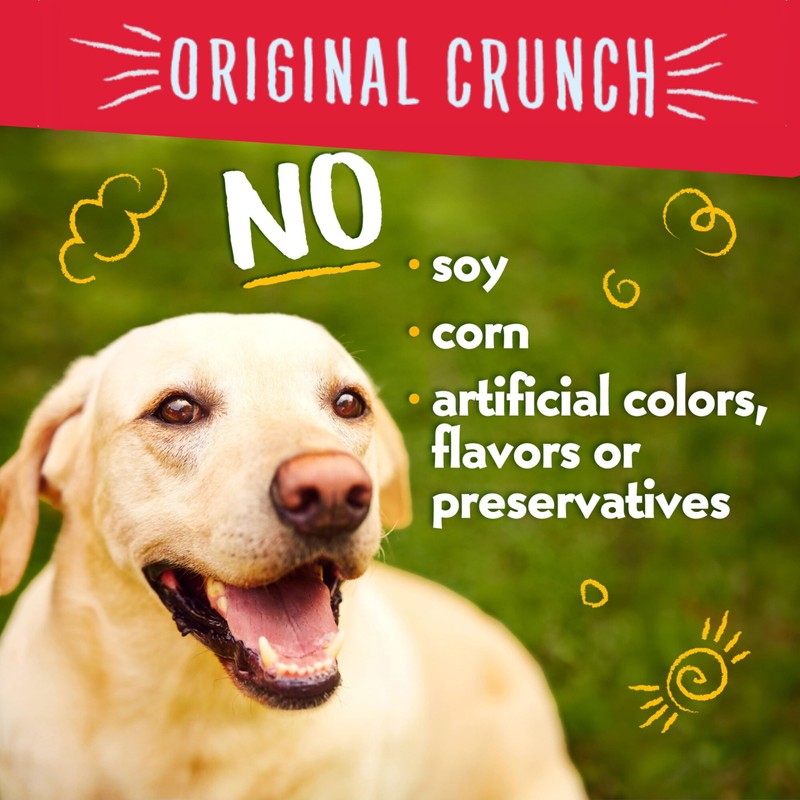 Charlee Bear Dog Treat with Cheese & Egg (4 Pack)