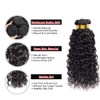 Water Wave Bundles Human Hair with Closure Wet and Wavy