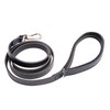 Filbert Genuine Oiled Leather Dog Leash, Leather Leash for Small,