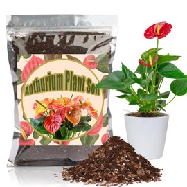 Doter All-Natural Potting Soil for Anthurium & Indoor Plants 2qt - Enhanced Drainage, No Additives | Premium Indoor Plant Soil Mix