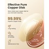 Wtoolfex Bird Bath Copper Disk, 2pcs Reinforced 99.99% Pure Copper