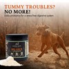 Alpha Dog Nutrition Balance Probiotic Blend for Dogs by Alpha