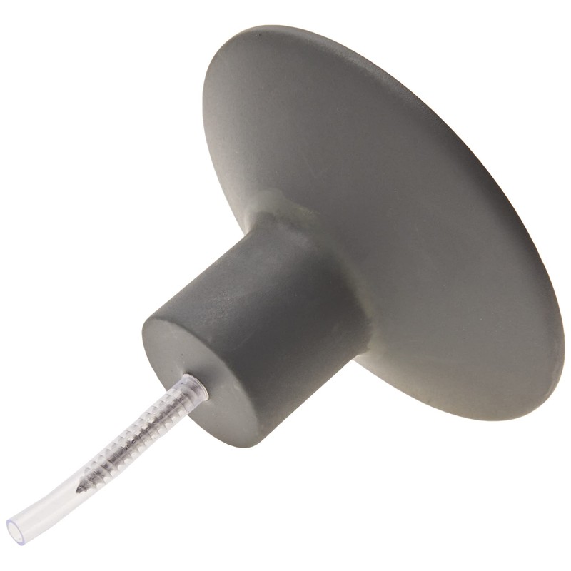 Blomus Wall Hook