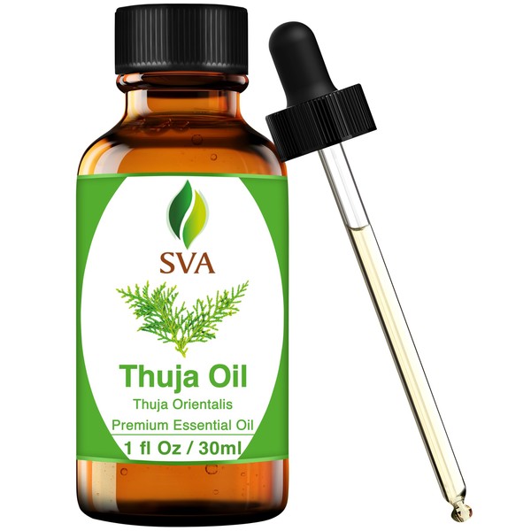 SVA ORGANICS SVA Thuja Essential Oil C 1 Fl Oz