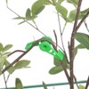 BUKYCAT Pack of 30 Plant Growth Bender Clips, Plant Branch,