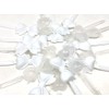 Tara Girls Super Cute Self Hinge Plastic Mulit Design Hair