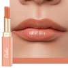 Oulac 2-in-1 Lipstick and Lip Balm, Juicy and Shiny Lip