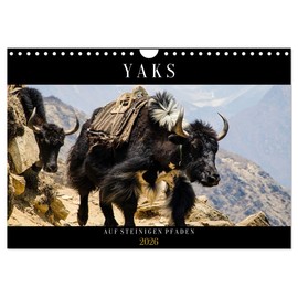 Yaks - on Stony Paths (Wall Calendar 2026 DIN A4 Landscape), CALVENDO Monthly Calendar