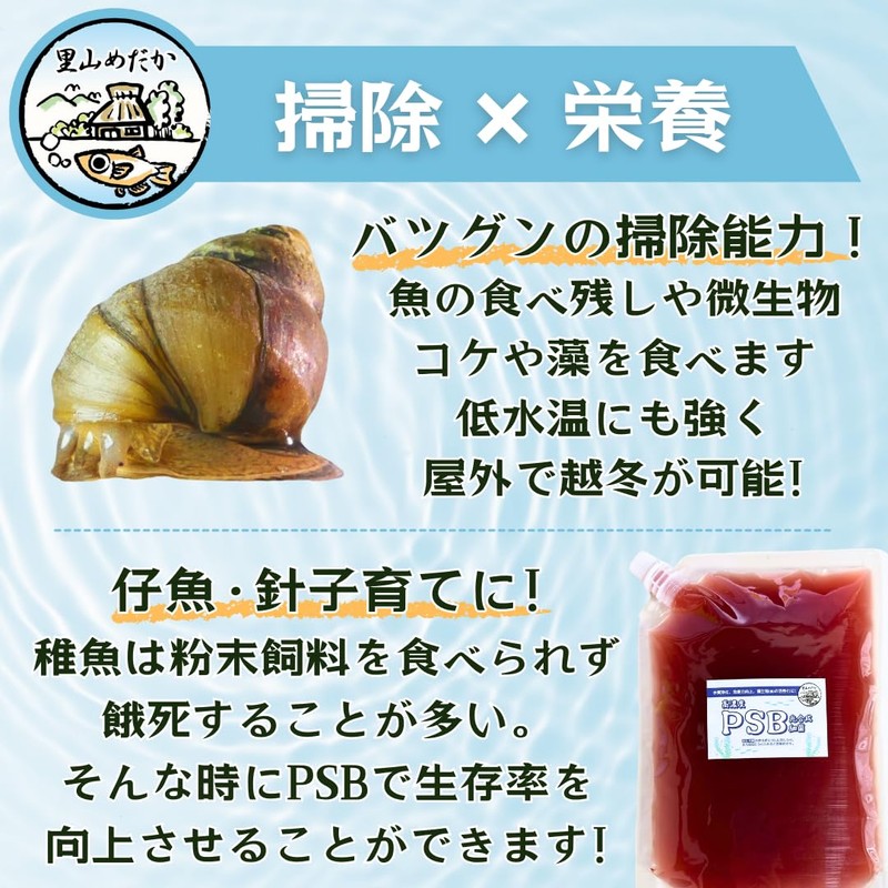 Satoyama Medaka 5 Himetanishi & High Concentration PSB (Photosynthetic Bacteria),