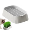 Cat Grass Pot | Organic Cat Grass Planter Tray |