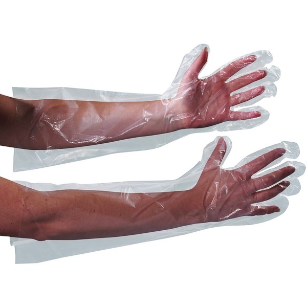 Clear Poly Gloves 18" Elbow Length