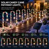 Solar Christmas Pathway Lights for Outdoor Décor – 5-Piece 8-Mode