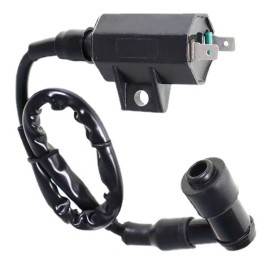 Kawasaki Ignition Coil +Spark Plug For Kawasaki Bayou 250 KLF250A , Bayou 220 KLF220A