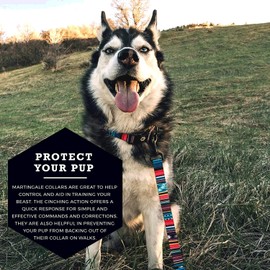 Wolfgang Heavy Duty Martingale Dog Collar with Quick Release Nylon Buckle for Walking & Training, Quetzal Print, Medium