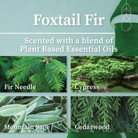 Hemlock Park Crackling Wood Wick Candle Handcrafted with Natural Coconut Wax (Standard 8 oz, Foxtail Fir)