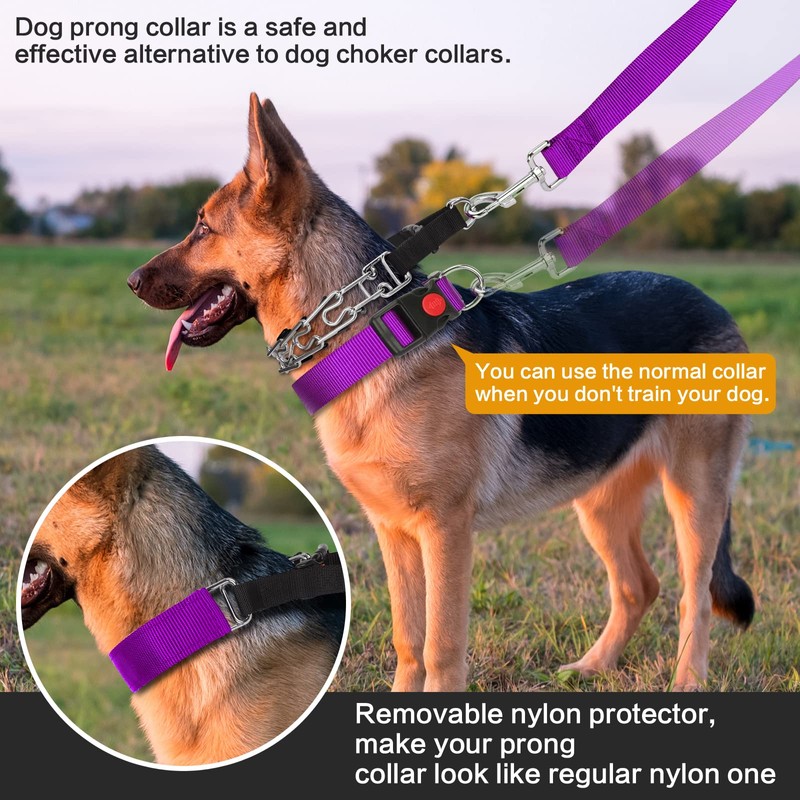 Prong Training Collar with Comfort Tips and Quick Release Snap