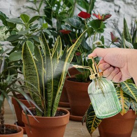 Angoily Glass Watering Spray Bottle Vintage Plant Spritzer Watering Can with Top Pump Plant Mister Watering Can for Indoor Outdoor Succulent Plant 350ml Green