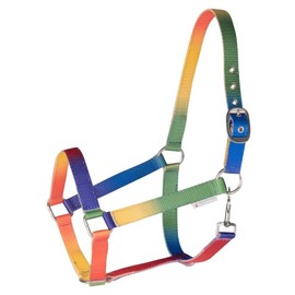 Halfter Regenbogen, neon multicolor, SH