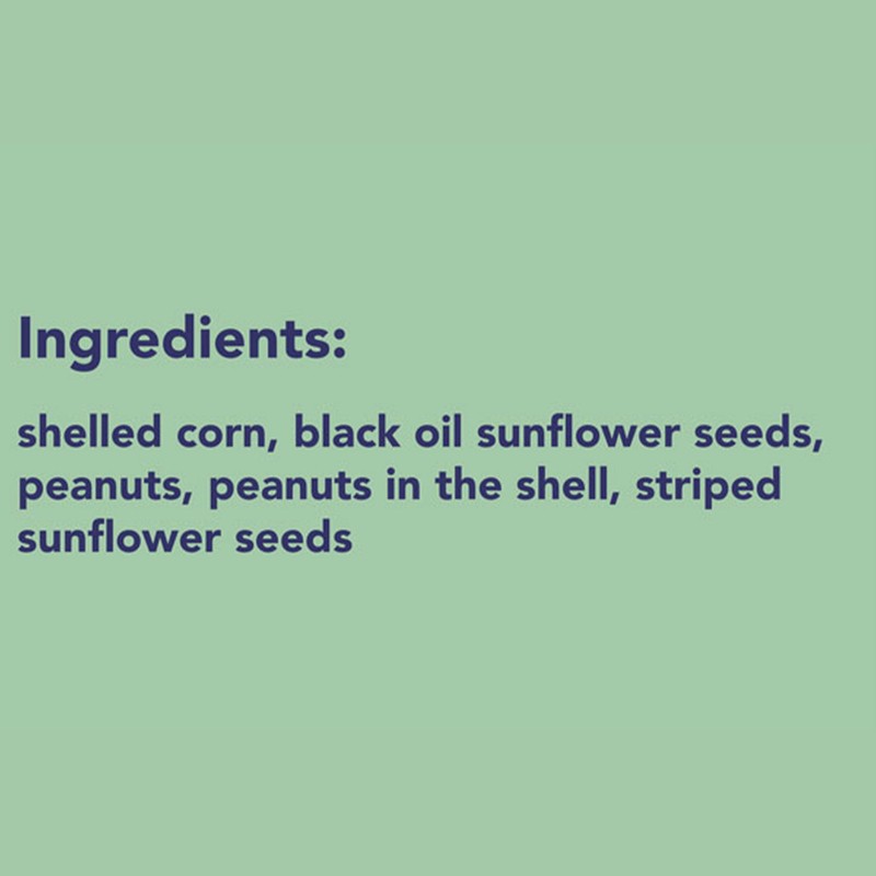BestNest Critter Snack Seed Mix, 10 lb Bag | Blend
