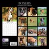 Paw Prints Range Boxers 2018 Square Wall Calendar