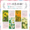 休息時間 GABA セロトニン セントジョーンズワート トリプトファン サプリメント 30日分 3袋セット
