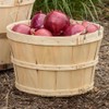 Lehman's Handcrafted Half Bushel Baskets, Vintage Style USA Made Poplar