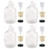 North Mountain Supply 1 Gallon Glass Fermenting Jug with Handle,