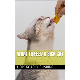  What to Feed a Sick Cat (Cat Care)