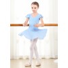 DIPUG Ballet Leotards for Girls Toddler Dance Leotard Shiny Skirts