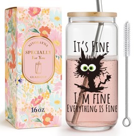 It’s Fine Everything's Fine,Funny Black Cat Drinking Glass Cups Gifts for Women Men Coworker Friends Teacher Nurse,Coffe Glass Tumbler with Lid and Straw Inspiration Cat Lover Gifts for Birthday-7