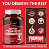 Kidney Cleanse Supplements Kidney Support Formula with Premium Cranberry Extract-