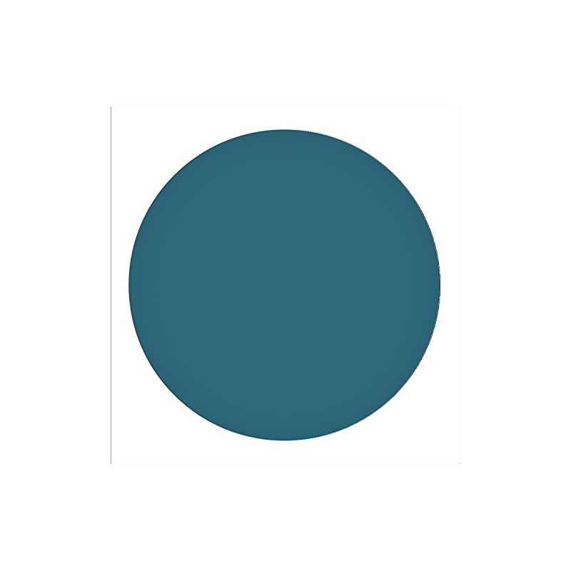 China Glaze Matte Nail Polish, Just A Little Embellishment 1565